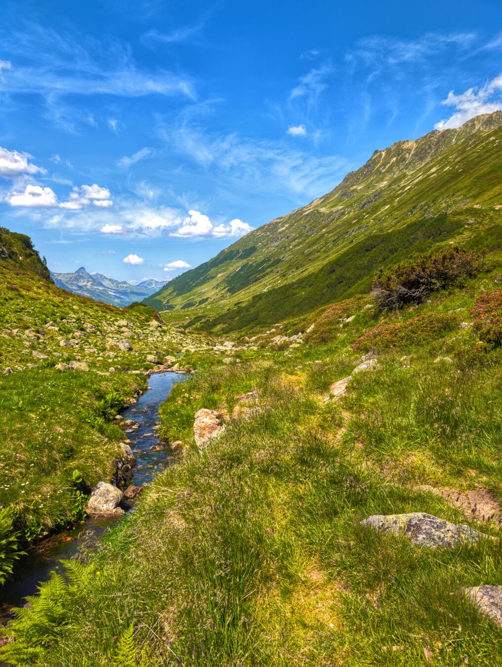 A small stream flows down into the valley